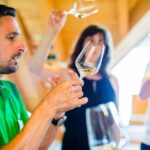 Wachau Valley Small-Group Tour and Wine Tasting from Vienna - Transportation and Group Size