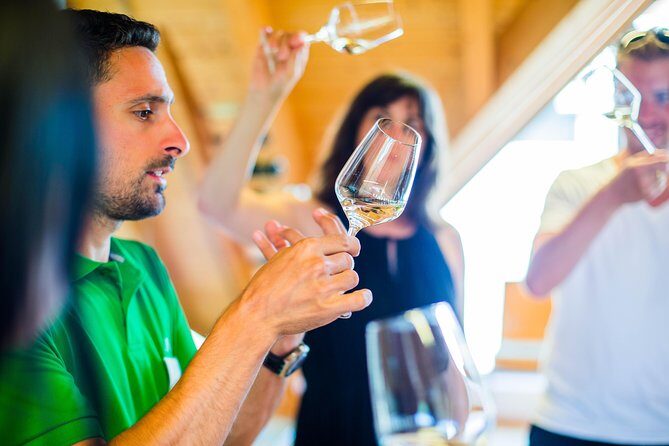 Wachau Valley Small-Group Tour and Wine Tasting from Vienna - Transportation and Group Size