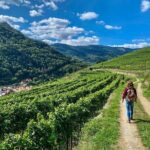 Wachau World Heritage Hike - Pricing and Value