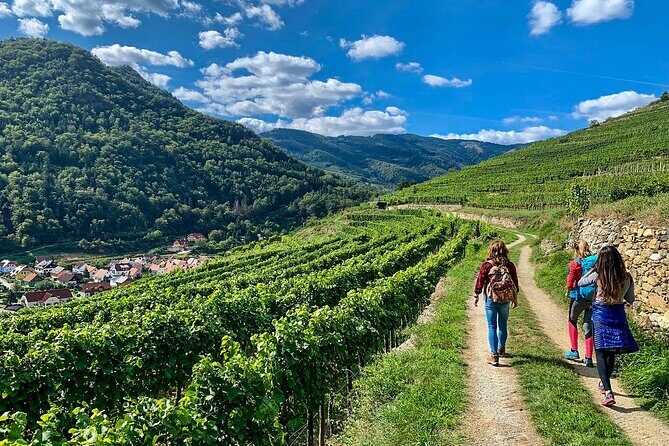 Wachau World Heritage Hike - Pricing and Value