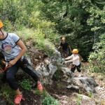 Waldseilpark Wörthersee - Who Will Love Waldseilpark Wörthersee?