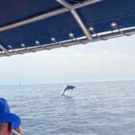 Walk and dolphin watching in Fuengirola + 1 drink - Final Thoughts