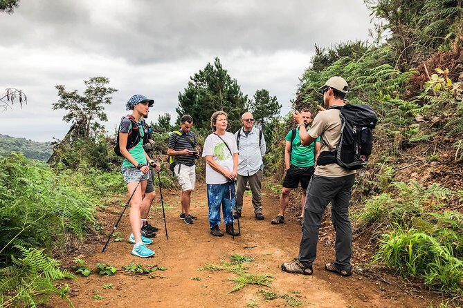 Walk with a local - A Deep Dive into the Walk with a Local Experience