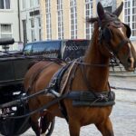 Walking Tour Bruges: Exciting Stories, Mysteries, People - The Practicalities