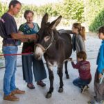 Walks and hikes with donkeys - Why This Tour Offers Real Value