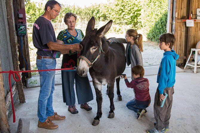 Walks and hikes with donkeys - Why This Tour Offers Real Value