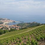 Walks in the heart of the secret vineyards around Collioure, tastings - The Sum Up