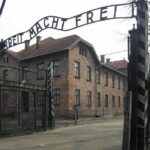 Warsaw to Auschwitz and Krakow Old Town Full-Day Trip by Car - Who Should Consider This Tour?