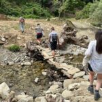 Waterfalls and wine flows - Bogova waterfall and Alpeta Winery Winetasting tour - Who Will Love This Tour?