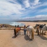 Welcome to Carrapateira Horse Riding Tour - Authenticity and Guides