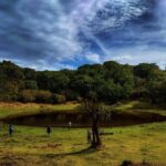 West Madeira Island Guided Tour & Fanal Mystic Forest - Authentic Experiences & Hidden Gems