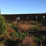 Western and Central Volcanoes on Jeep: Sete Cidades & Fogo Lakes - Why This Tour Offers Real Value