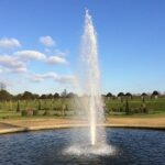 Westminster area private guided tour - Authentic Insights from Past Travelers