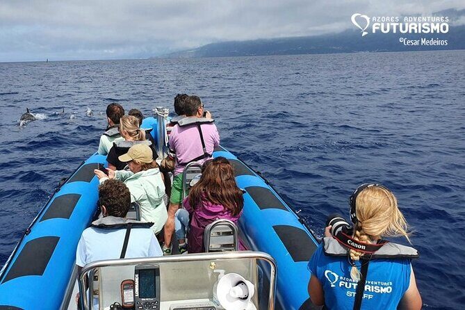 Whale and dolphin watching in Pico Island - Final Thoughts