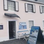 Whale and Dolphin Watching Tour on Pico Island - Final Thoughts: Is It Worth It?