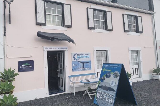 Whale and Dolphin Watching Tour on Pico Island - Final Thoughts: Is It Worth It?