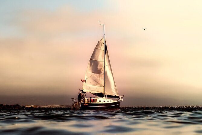 Whale & Dolphin Watching Boat Trip in Tenerife On a Sailing Boat (3 Hr) - Pricing and Value for Money