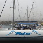 Whale & Dolphin Watching With Mustcat Virgin Coast Trip On a Large Catamaran - Who Is This Tour Best For?