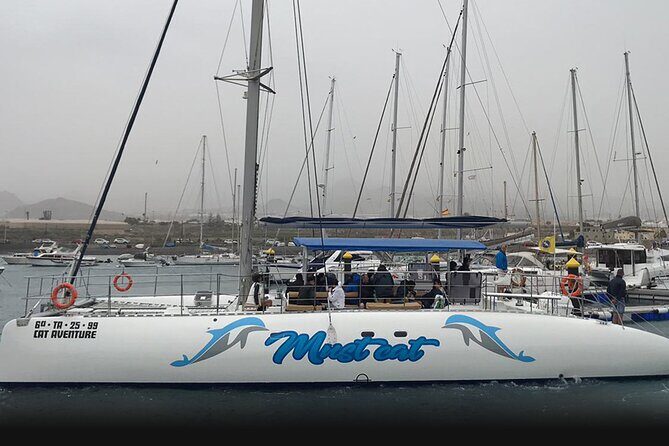 Whale & Dolphin Watching With Mustcat Virgin Coast Trip On a Large Catamaran - Who Is This Tour Best For?