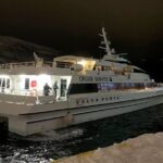 Whale Safari in Tromso - Who Would Love This Tour?