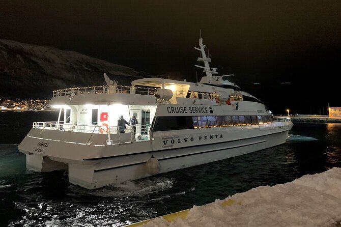 Whale Safari in Tromso - Who Would Love This Tour?