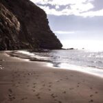 Whale Watching and Listening Eco Catamaran Tour with Food Tasting - The Experience in Detail: What Makes It Stand Out