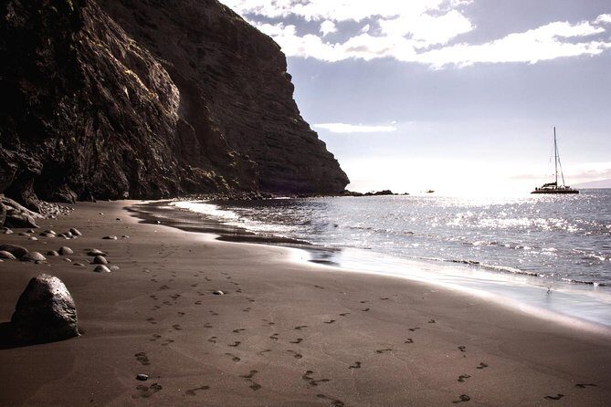 Whale Watching and Listening Eco Catamaran Tour with Food Tasting - The Experience in Detail: What Makes It Stand Out