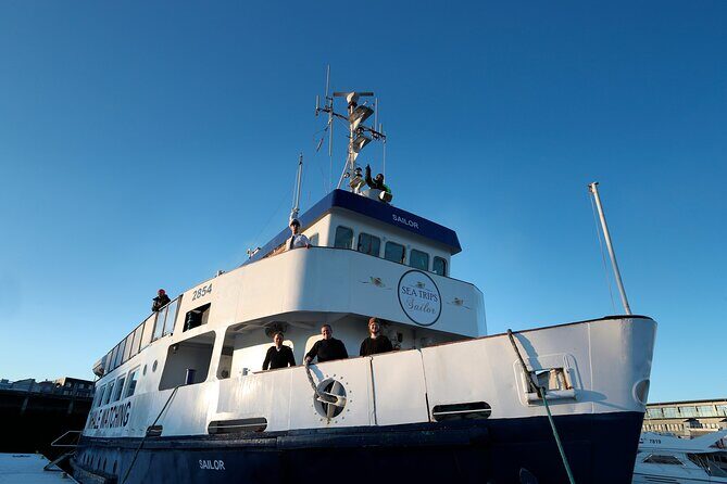 Whale Watching and Marine Life Tour in Reykjavik - The Wildlife Encounters: What You Might See