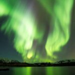Whale Watching and Northern Lights Half-Day Combo Tour - Final thoughts: Is this tour right for you?