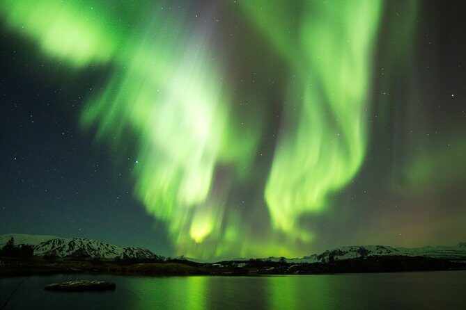 Whale Watching and Northern Lights Half-Day Combo Tour - Final thoughts: Is this tour right for you?