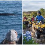 Whale Watching & ATV Adventure from Reykjavik - Who Would Love This Tour?