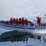 Whale Watching in Reykjavik by Speedboat - The Experience: Pros and Cons