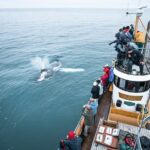 Whale Watching on board a Traditional Oak Boat from Árskógssandur - Key Points