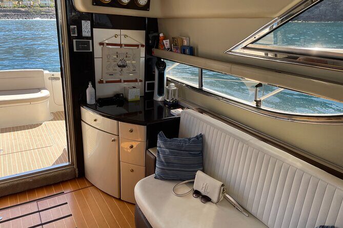 Whales and Dolphins excursion on a Luxury Yacht in Canary Islands - Transportation and Booking