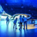 Whales Of Iceland Admission Ticket - The Review from Visitors: Authentic Insights