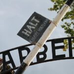 Wheelchair accessible PRIVATE transfer to Auschwitz - Birkenau - Who Is This Tour Best For?