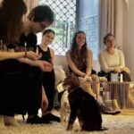 Whiskers & Coffee: Relax and Play with Adorable Cats - Practical Details and Tips