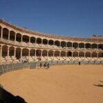 White Villages and Ronda Day Trip from Seville - What Makes This Tour Stand Out?