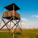 Wieliczka Salt Mine and Auschwitz-Birkenau Tour - Transportation and Guides