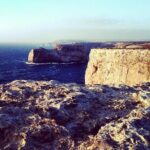 Wild and Wonderful West Coast Full Day Tour - Who Should Book This Tour?