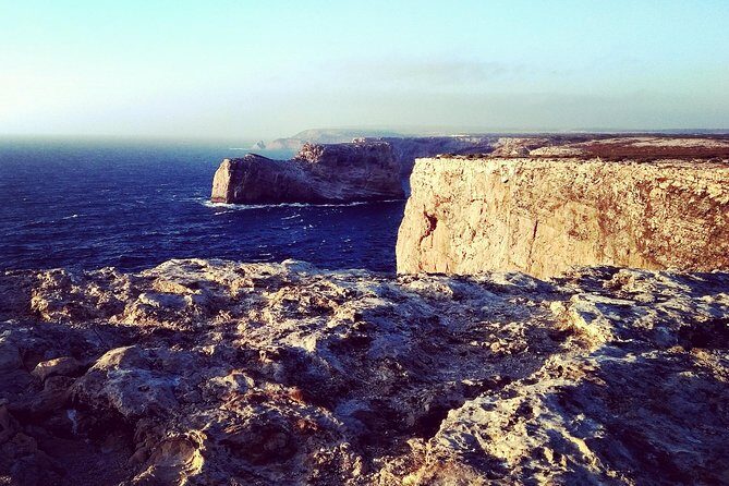 Wild and Wonderful West Coast Full Day Tour - Who Should Book This Tour?