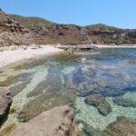 Wild Beaches & Snorkeling Tour - Analyzing the Value