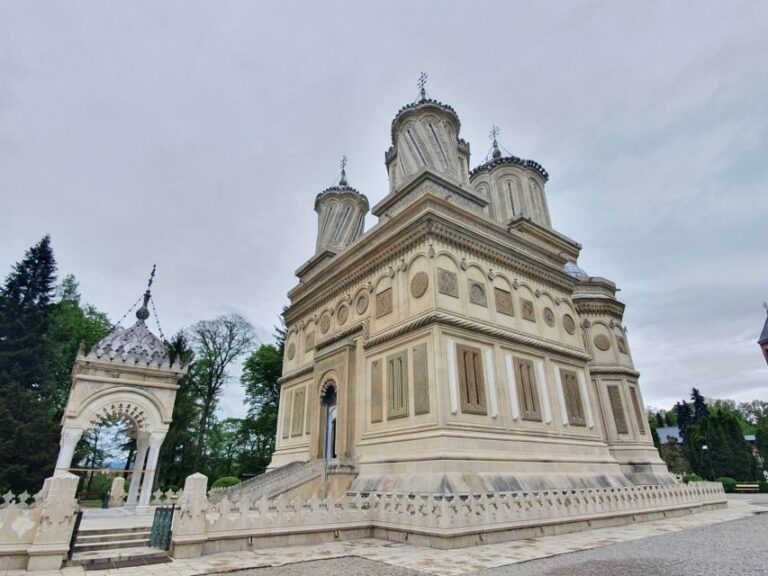 Wild Bears and Dracula Private Day Tour - What You Gain From This Tour