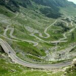 Wild Bears Safari on Transfgran - Small group max 7 Tourists - Practical Details and What to Expect