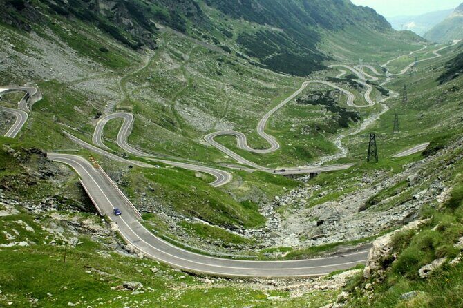 Wild Bears Safari on Transfgran - Small group max 7 Tourists - Practical Details and What to Expect