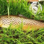Wild Brown Trout fishing. Lough Corrib. French speaking Ghillie/Guide. Full day. - Who Would Love This Trip?