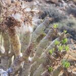 Wild coast nature experience and legends - Practical Details and What to Expect