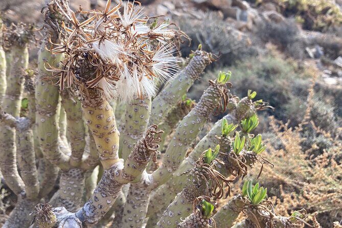 Wild coast nature experience and legends - Practical Details and What to Expect