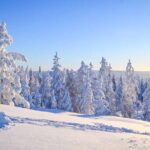 Wilderness Survival Tour - Winter - The Winter Landscape and Its Unique Charms