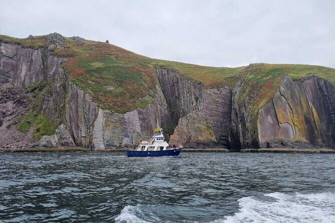 Wildlife Tour - Final Thoughts